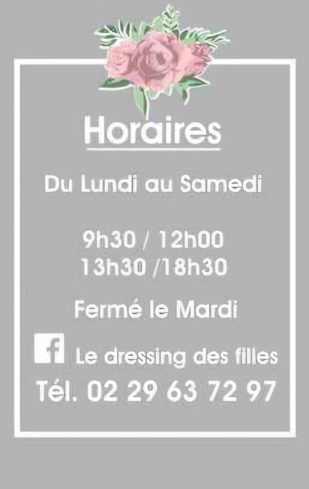 Logo Le dressing des filles